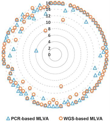 Genetic Characterization of Brucella spp.: Whole Genome Sequencing-Based Approach for the Determination of Multiple Locus Variable Number Tandem Repeat Profiles